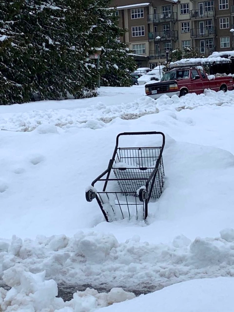 snow Squamish Jan. 2022