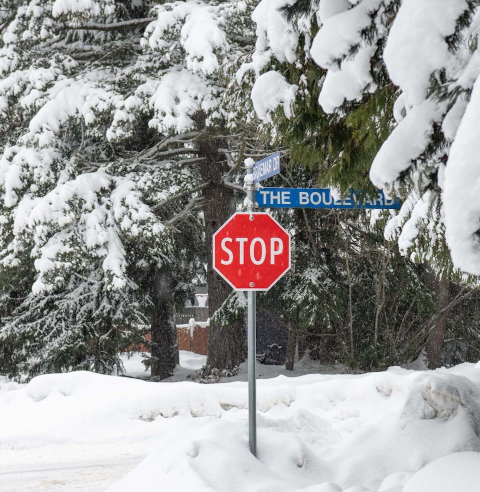 Snow stop-6618
