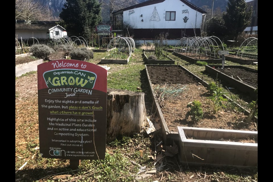 The current Squamish CAN community garden downtown. 