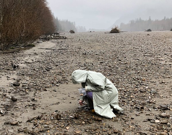 Squamish River