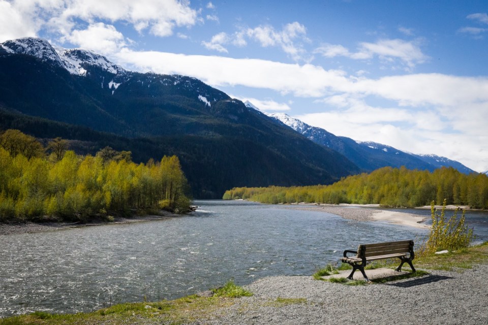 squamisheaglerunpexels-jj-whitley-5926961