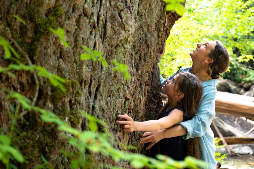 What do you think of the federal budget? Was there enough in it about protecting the environment?  Let us know what you note about it with a letter to the editor@squamishchief.com