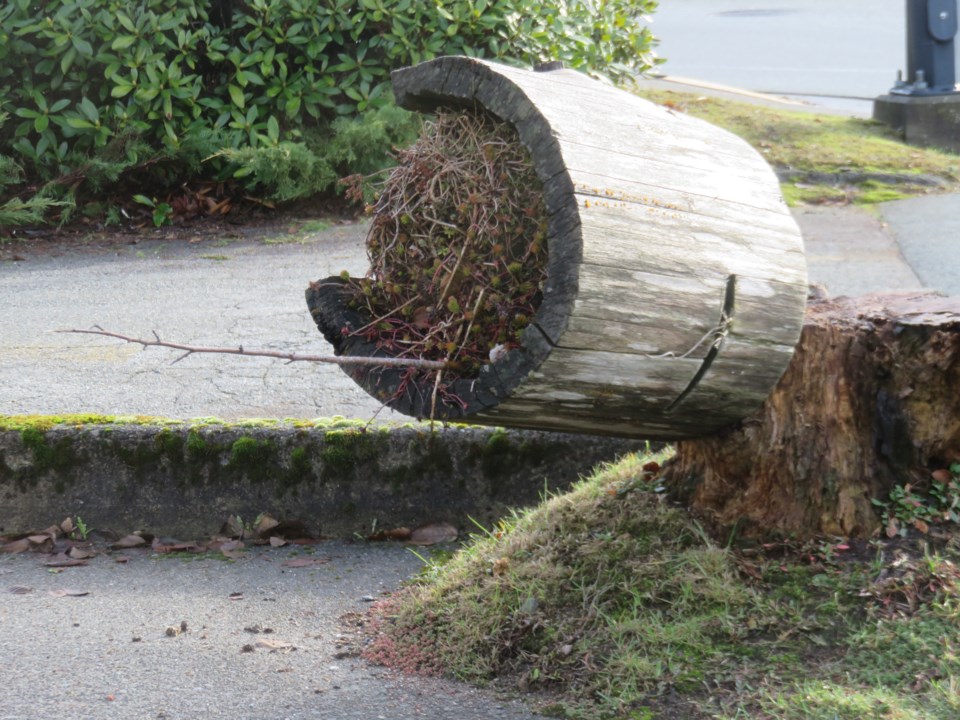 treestump-melody-column