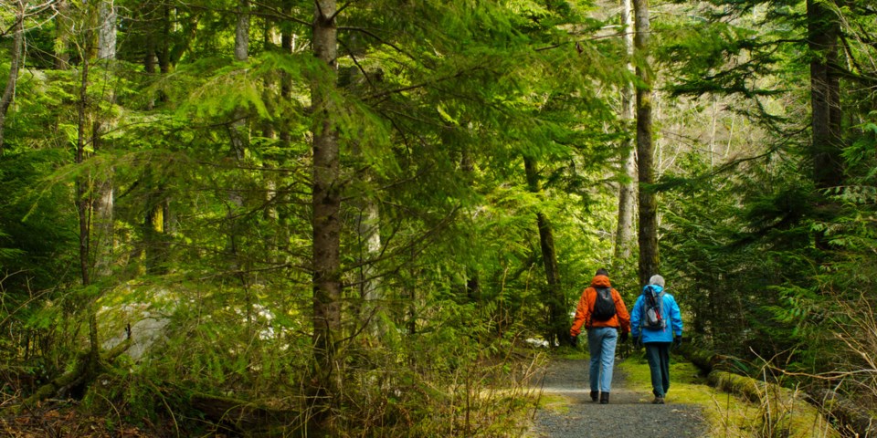 walking and talking therapy