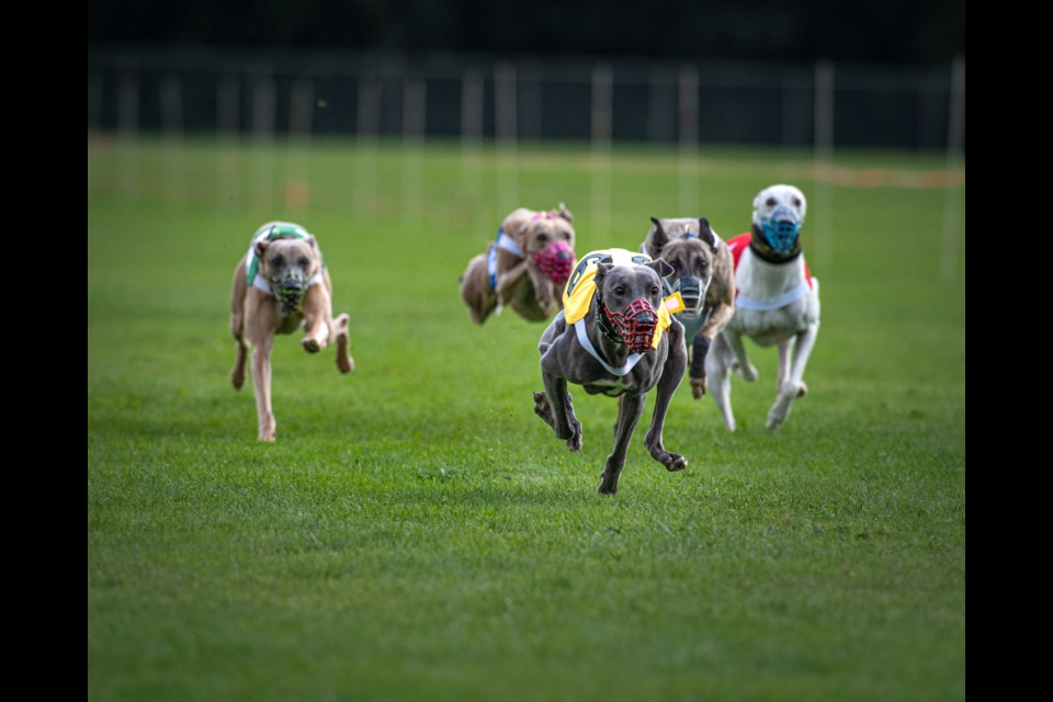Racing action Saturday, Aug. 21. 