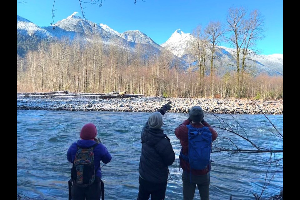 Squamish birders. 
On any day between Dec. 14 and Jan. 5, thousands of volunteers from more than 2,000 locations throughout the Americas count as many birds as they can within fixed geographic “count circles.” 
