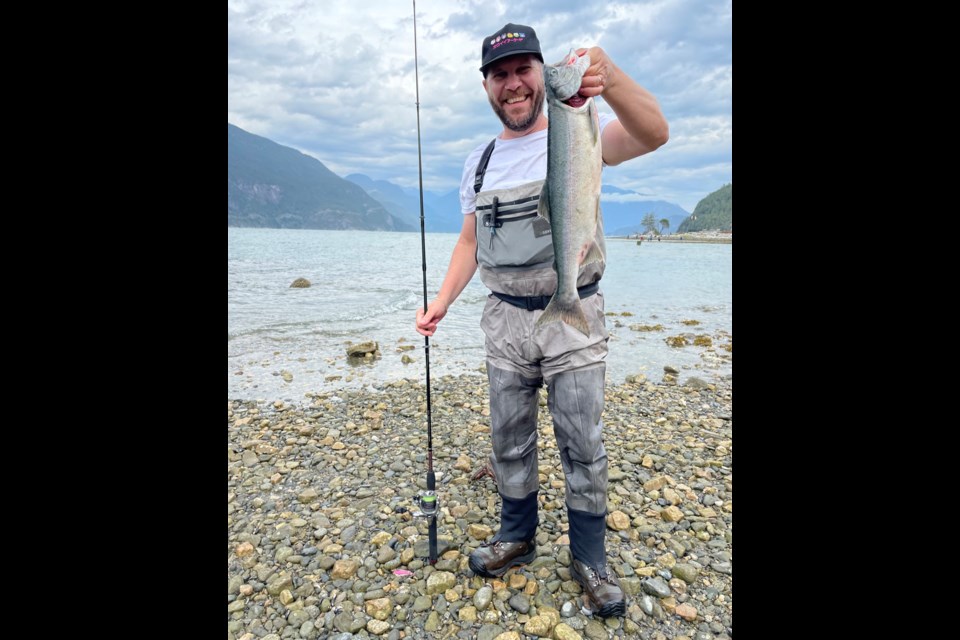 Behind the huge pink Salmon return: Scientist's Perspective - Squamish Chief