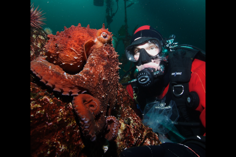 Octopus and diver. 