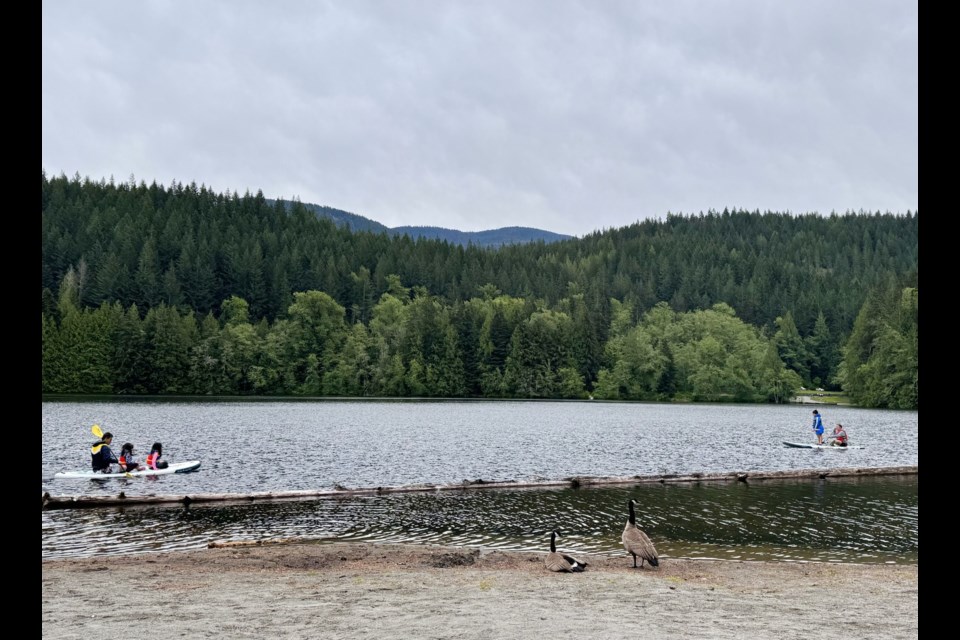 The province is warning visitors to Alice Lake Provincial Park to be on the look-out for blue-green algae.
