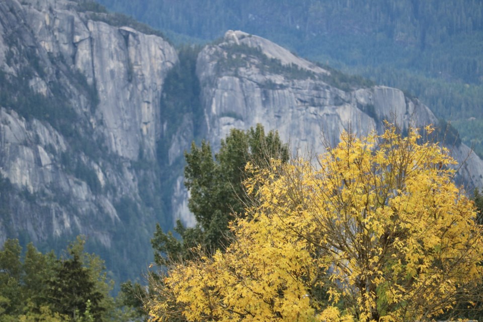 Local photographer Aafreen Arora captures the signs of fall around Squamish.