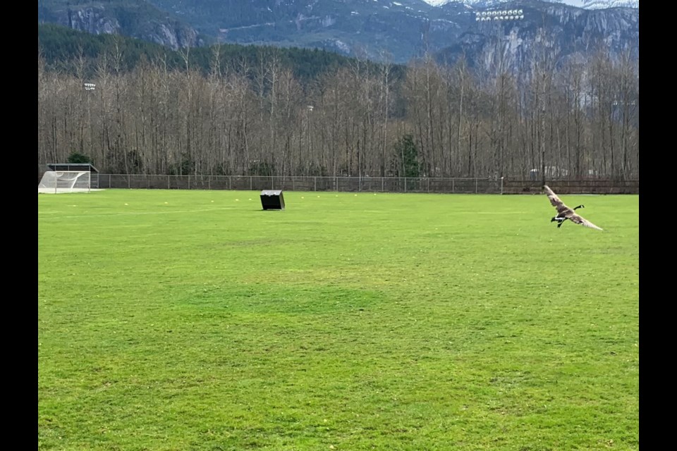 The release went off without a hitch. 