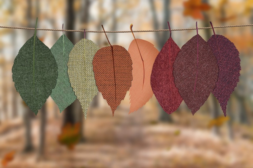 Changes - Credit Designecologist via Pexels
