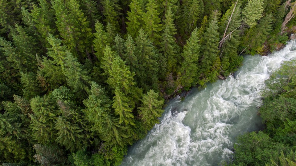 cheakamus-river326805586