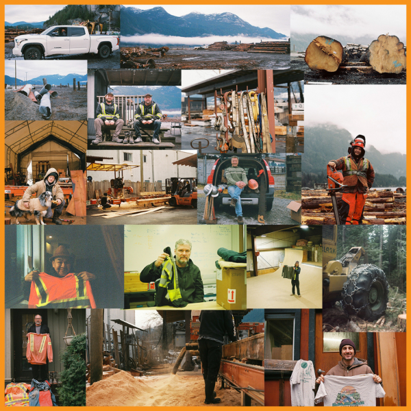 A new multimedia art exhibit is opening at the ƵappPublic Library, highlighting the B.C. forestry industry.