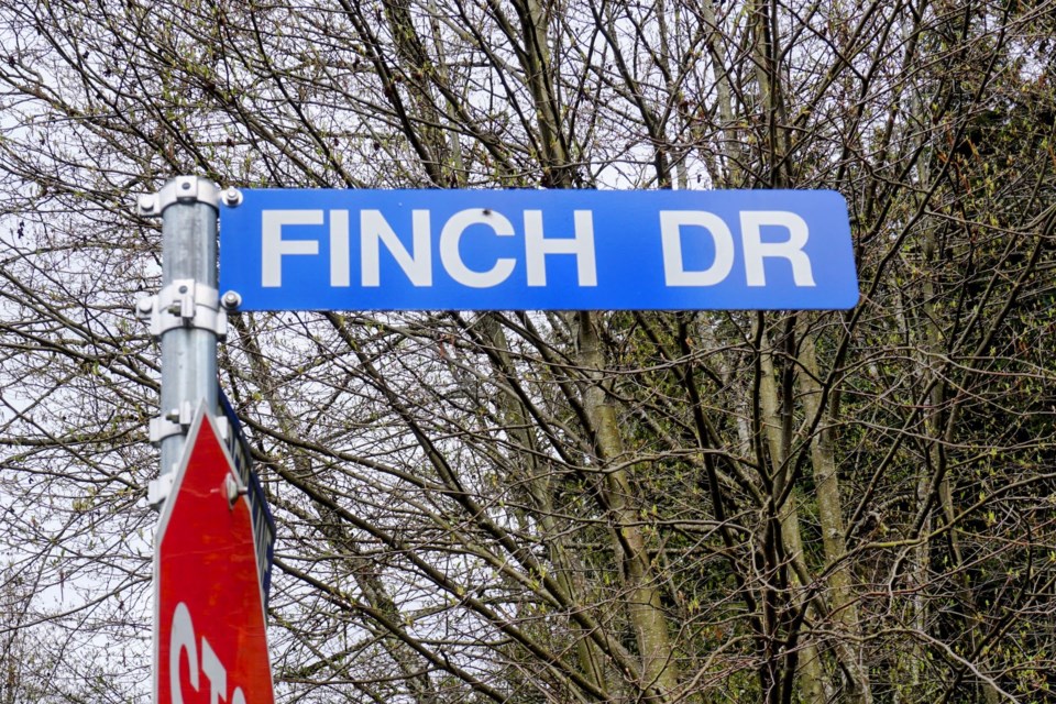 finch-drive