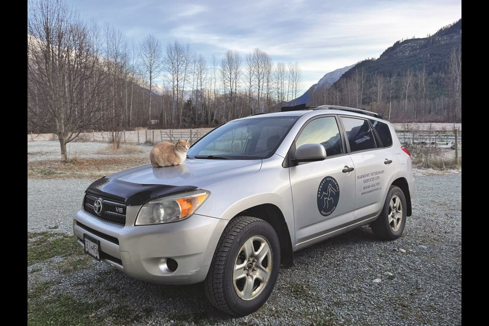 Since Nov. 18, Harmony Vets has been servicing the 鶹and Britannia Beach area. 