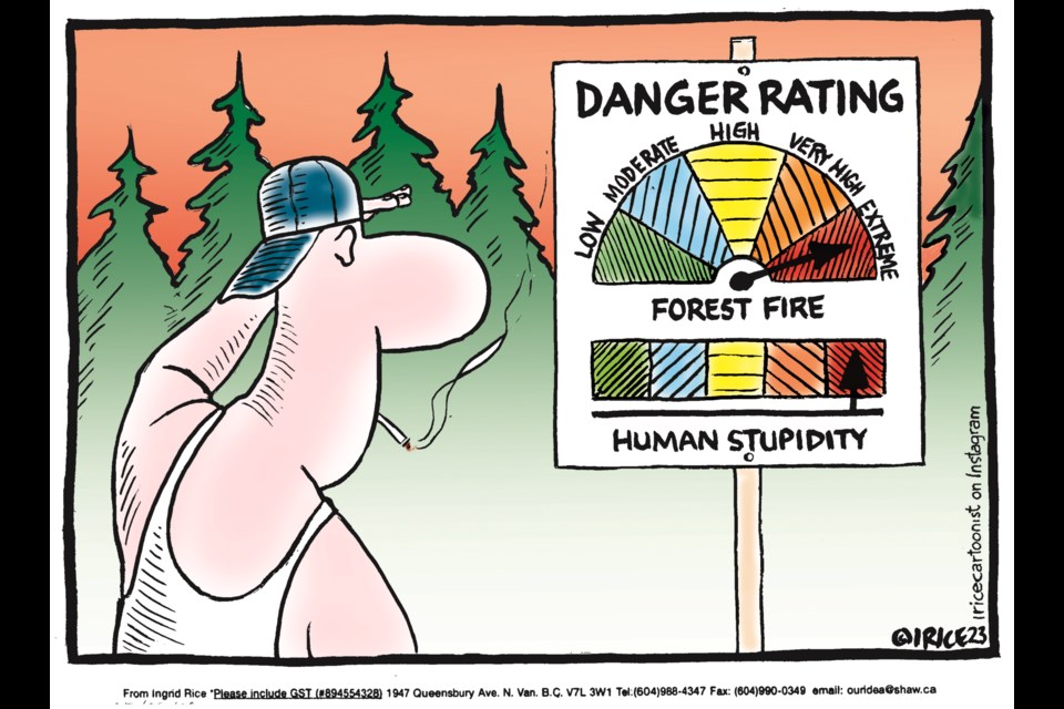 Cartoonist Ingrid Rice takes aim at human-caused wildfires. There have been 294 fires in B.C., less than two months into the fire season, which runs from April 1 to March 31, 2024. So far, 80 of these were caused by lightning, 14 are of unknown cause, and 200 were human-caused.