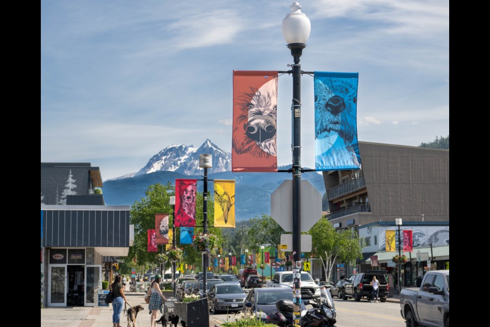 Have you seen the new banners around town by artist  Ciarra Saylor? 