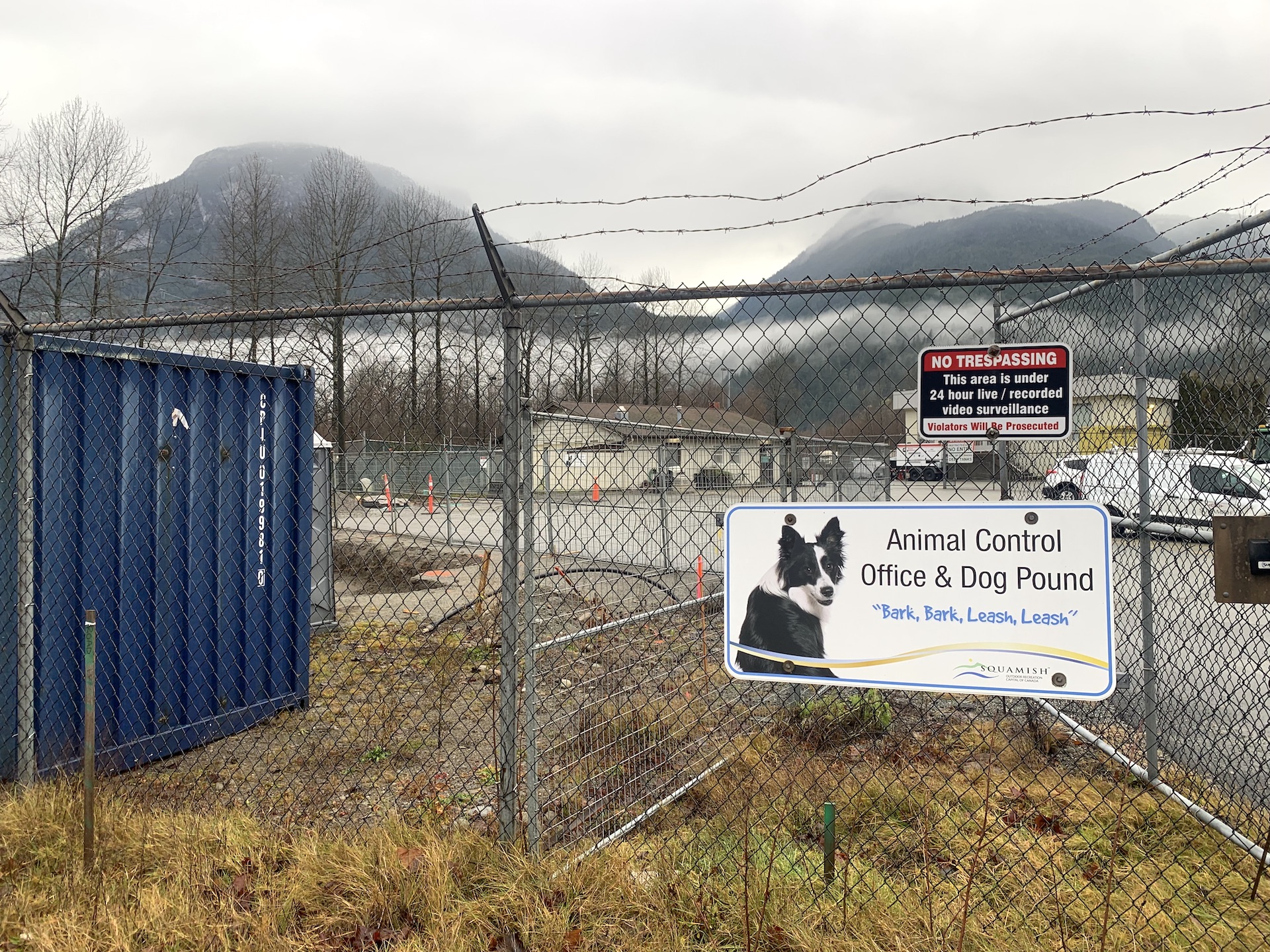 24 hour dog sales pound