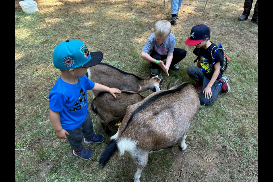 Kids enjoy the petting zoo at the Brackendale Fall Fair Saturday afternoon.