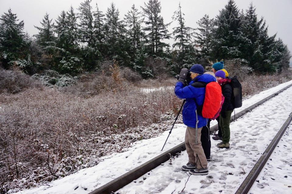 The Christmas Bird Count took place in Squamish on Dec. 17.                               