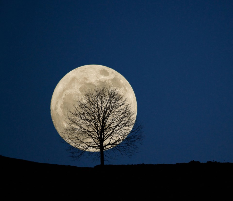 harvest-moon-festival