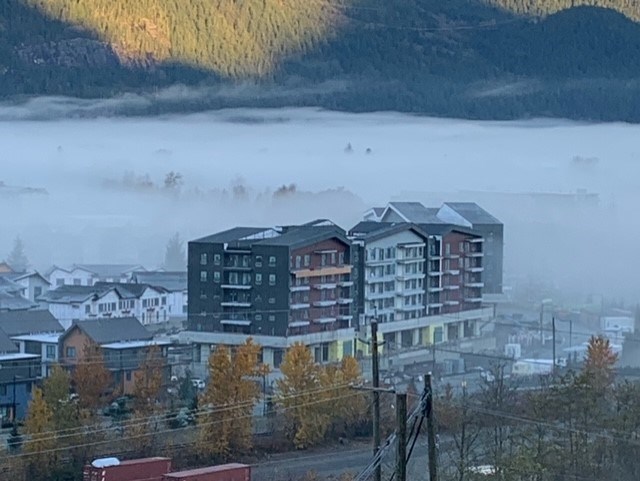 The fog rolled in on Tuesday morning, blanketing Ƶappand decreasing visibility on the roads. However, it was certainly a beautiful sight.