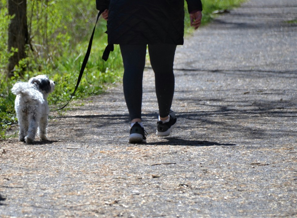 dogsonleashsquamishjenn-simpson-8mgpouwuepa-unsplash