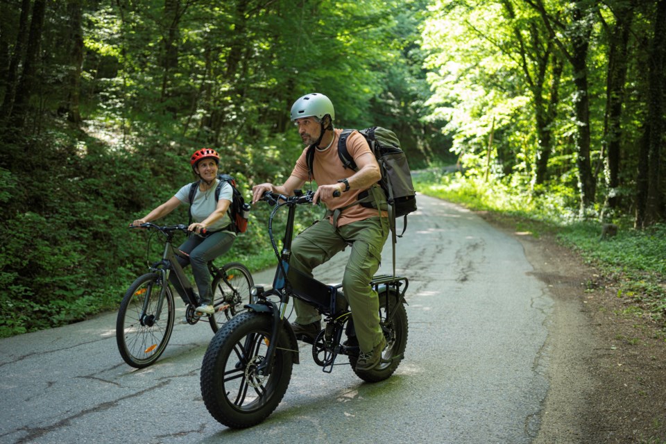 ebikes2155653012