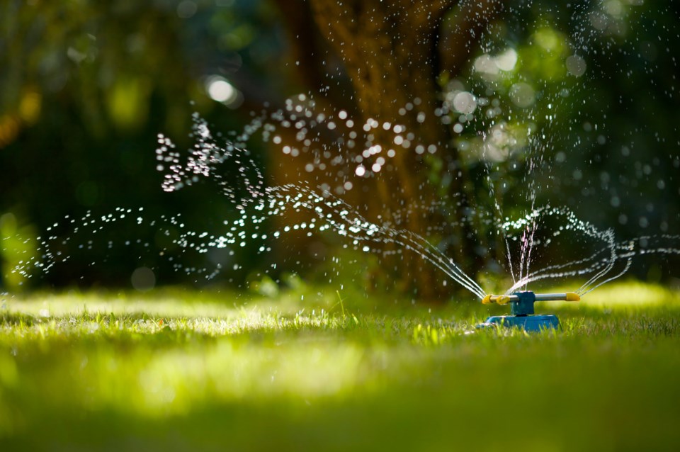 sprinklersquamish08202079