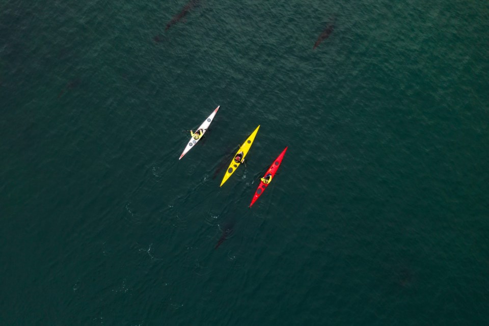 An important part of the Marine Trails Code of Conduct is making sure First Nations' perspectives are included.