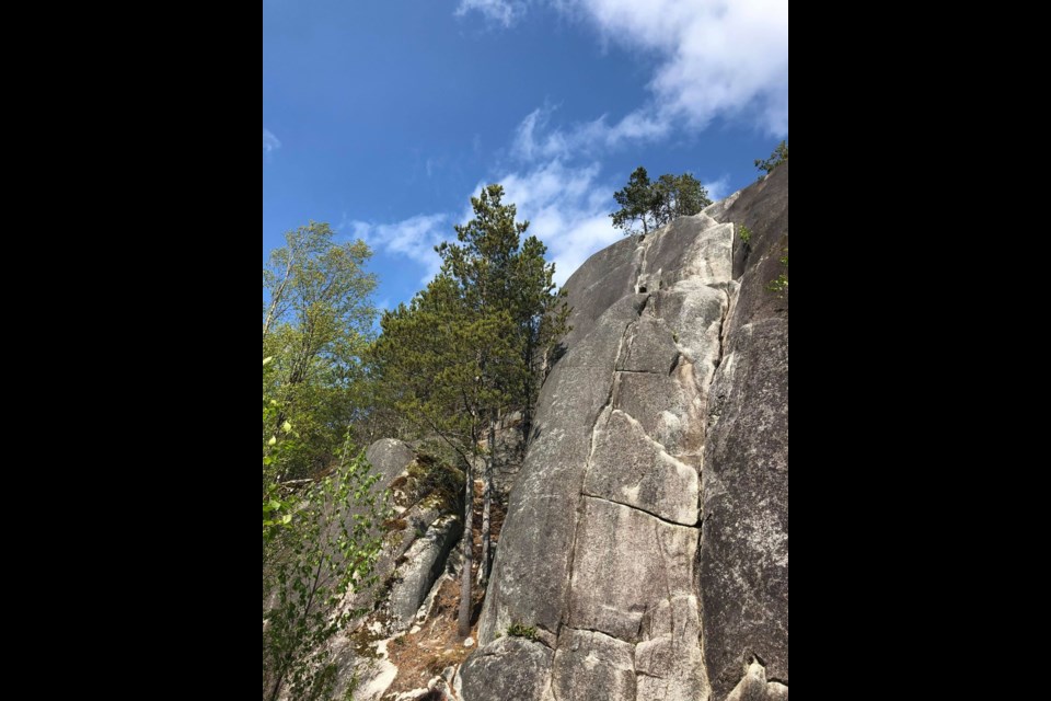 A climbing area at Smoke Bluffs.