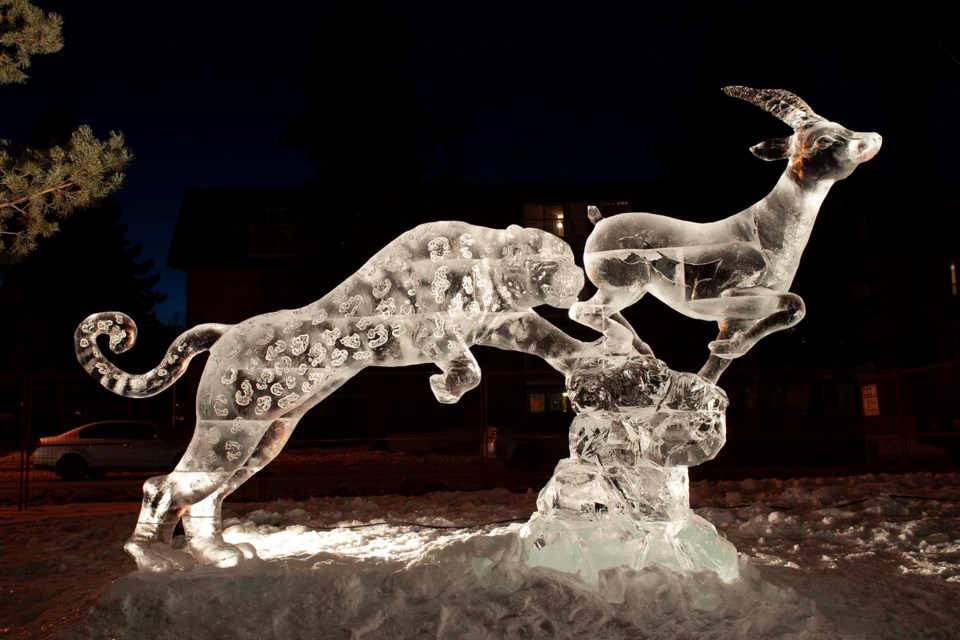 WONDROUS ART — Artists can carve ice into a variety of complex structures. Shown here is a work from the 2013 Ice on Whyte event in Edmonton. Warm temperatures have made complex sculptures such as this more challenging to construct and maintain. KEVIN MA/St. Albert Gazette