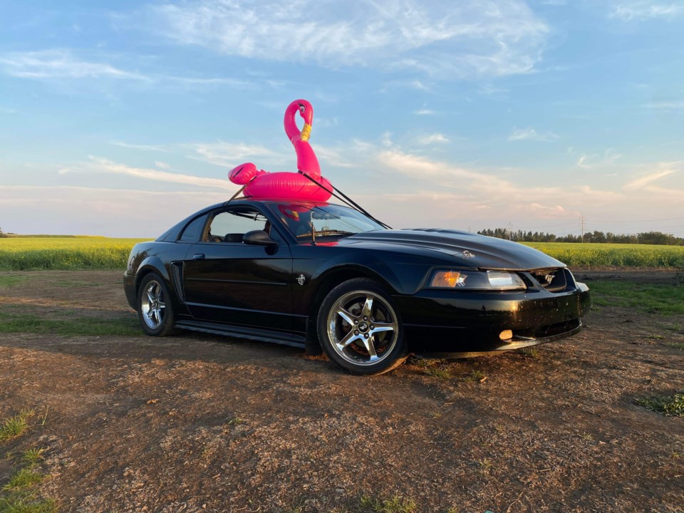 0205-flamingo-car