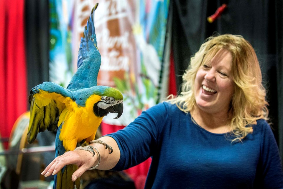 0308-parrot-show-parrotfeat02-dr