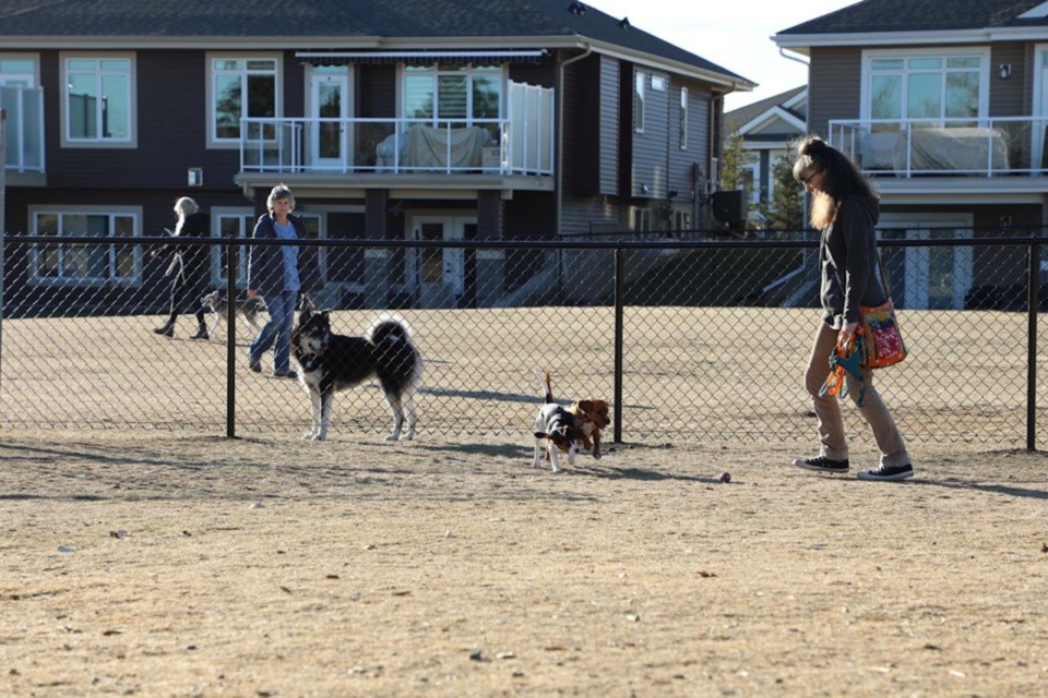 0404-dog-park-shelter