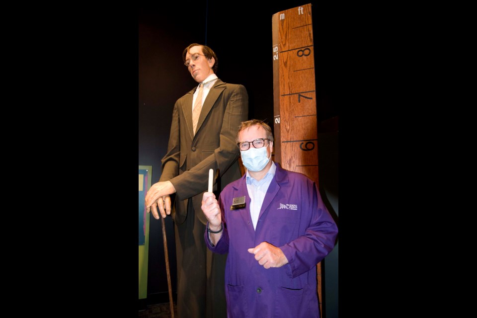 KINDA TALL — Telus World of Science CEO Alan Nursall explains how guests will be issued tongue depressors so they can safely push screens and buttons at the Science of Ripley's Believe It or Not exhibit. Behind him is a life-sized animatronic statue of Robert Wadlow, the tallest human in recorded history. KEVIN MA/St. Albert Gazette