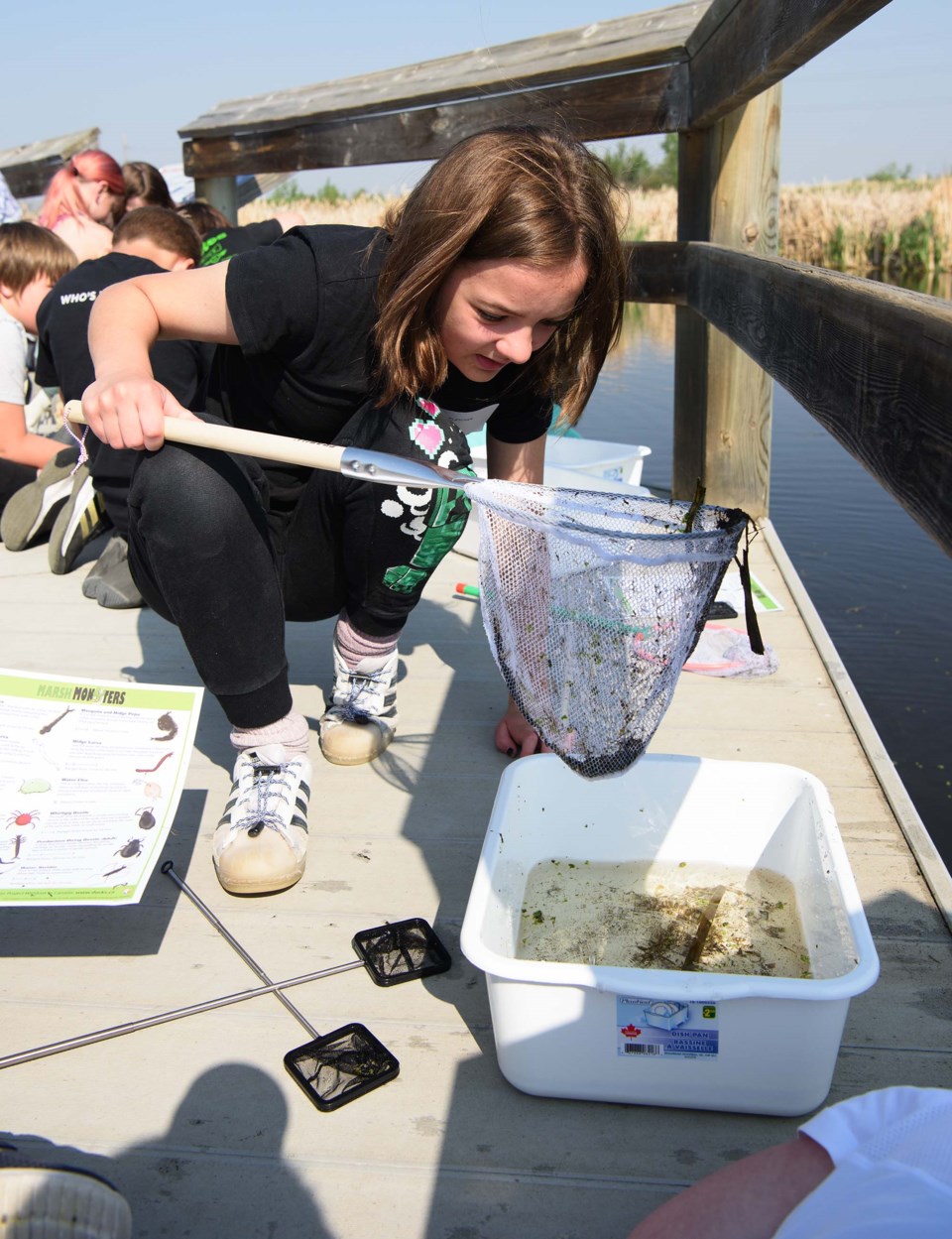 0531-envirofile01-fletcher-pond-dipping-6107-km