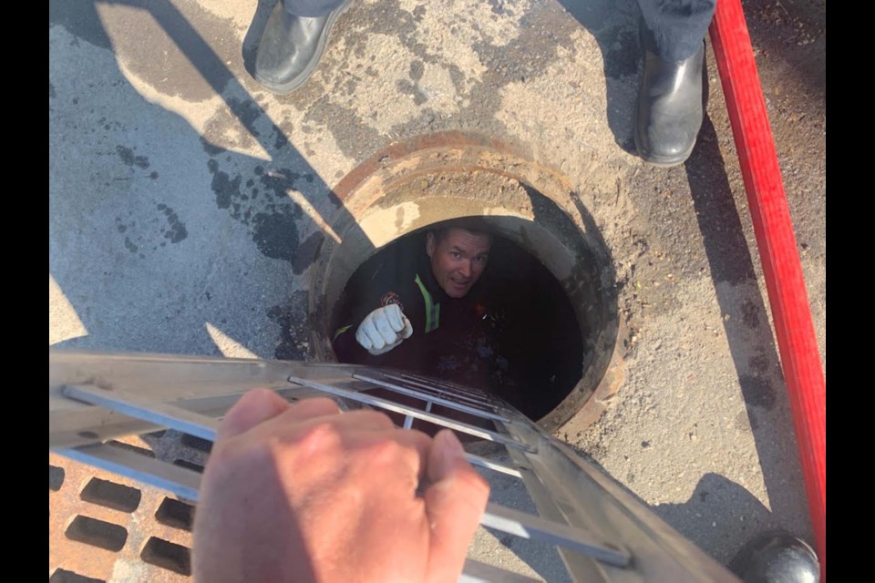 RESCUE OPERATION — St. Albert Fire official Jay Howell retrieves a duckling from a sewer near the St. Albert Courthouse on June 5. Eight ducklings were successfully retrieved from the sewer and reunited with their mother. JAY HOWELLS/St. Albert Fire