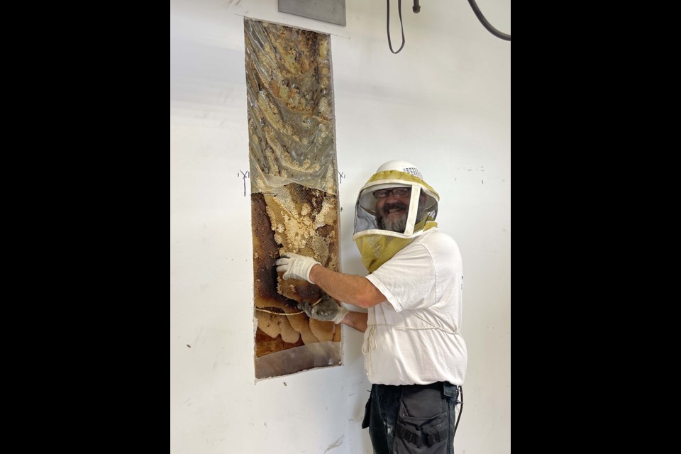 MOVING HOUSE — Edmonton beekeeper Jean-Charles Poirier begins to remove some 50,000 honeybees from a garage in Sturgeon County on July 4, 2023. DEBBIE STAHN/Photo
