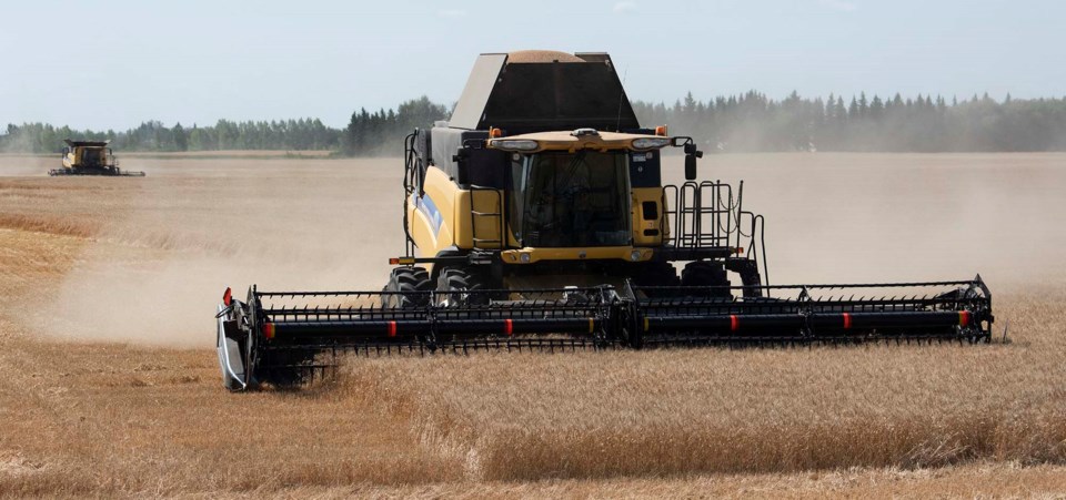 0816-harvest-start-sa-summerharvest-4899-km