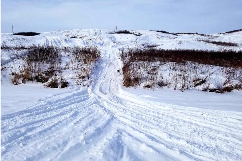 DEEP RUTS – Edmonton-area naturalists are concerned that snowmobiles have damaged rare plants at the Gibbons Cactus Prairie region in Gibbons, shown here. Snowmobiles are not allowed in this region.  KATHLEEN MPULUBUSI/Photo
