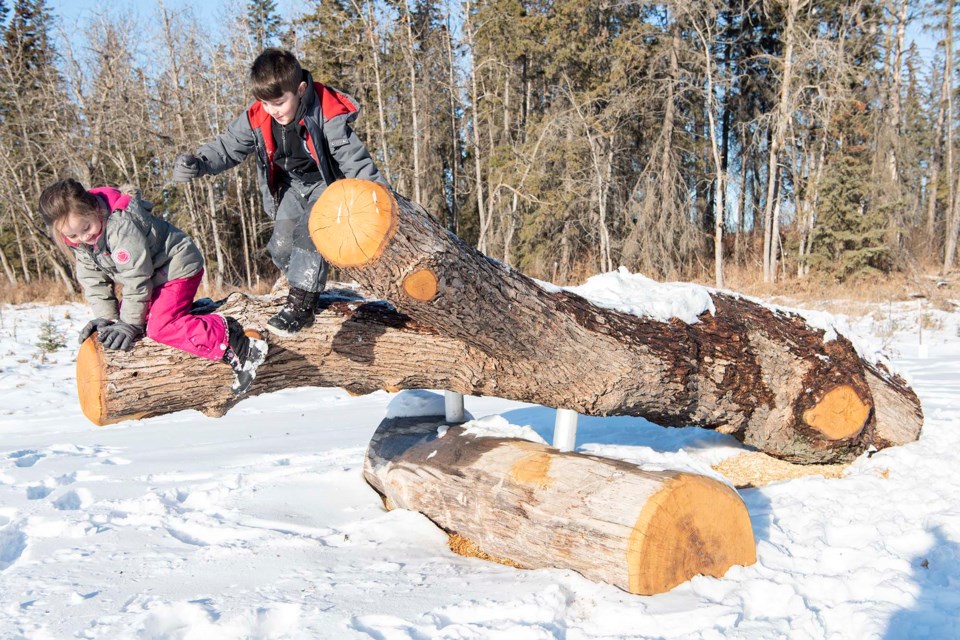 NEW PLAYGROUND — Morinville youths Charles and Winifred Loewen explore the new nature play area at the Grey Nuns White Spruce Park on Nov. 14, 2022. This play structure was made from a tree from B.C. KEVIN MA/St. Albert Gazette