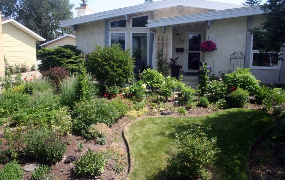 1210-alternative-lawns