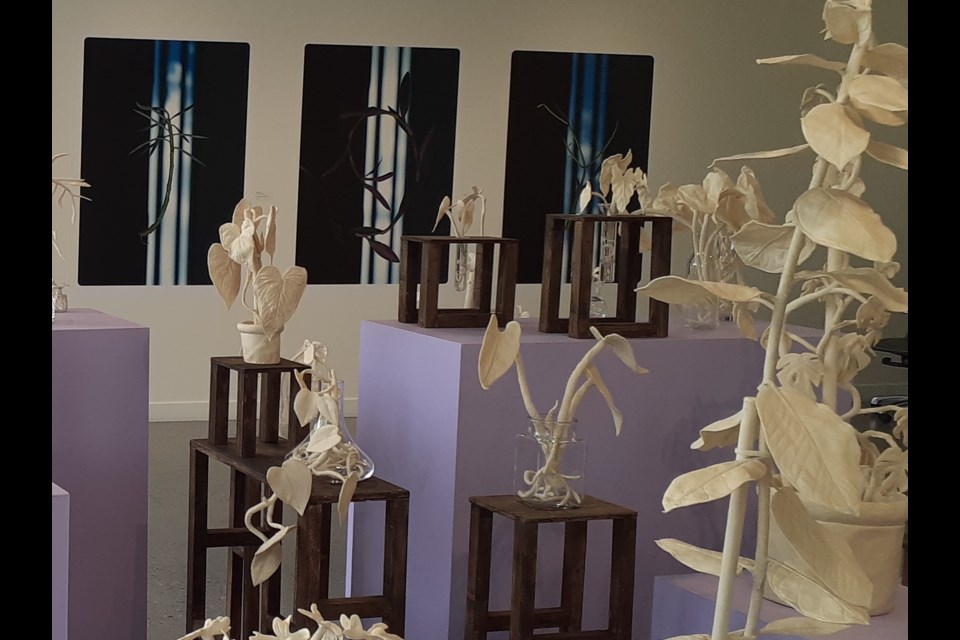In Violet Light is being featured at the Art Gallery of St. Albert until July 13. 