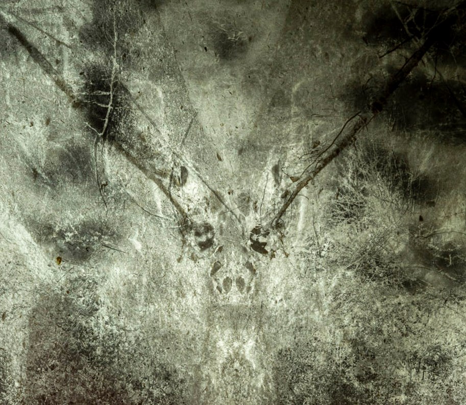 1710-art-gallery-strange-jury-d-detail-2-the-deer