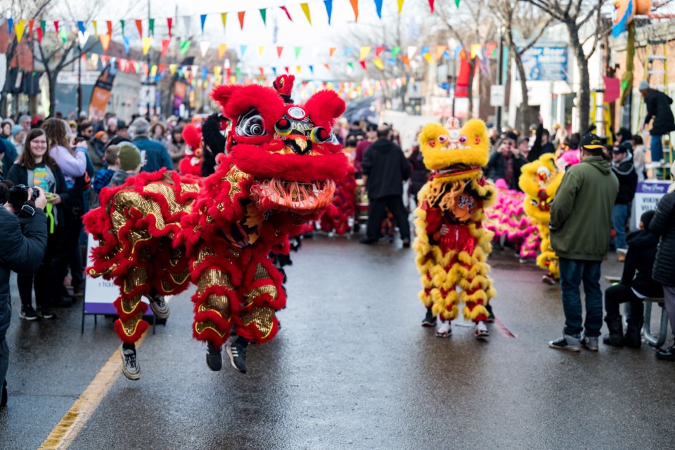 Colourful lion and dragon dancers, a mainstay of the Deep Freeze Festival, always gather large crowds. This year's festival takes place on Jan. 20-21. ERIC KOZAKIEWICZ