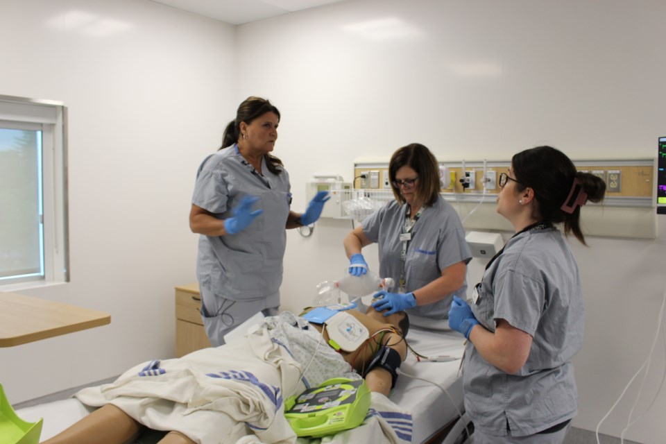 1906-nunes-sturgeon-hospital-simulation