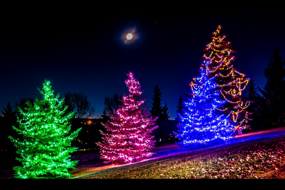 St. Albert Sturgeon Hospice Association is hosting Lighting the Way on Nov. 21 in time for the Christmas season.