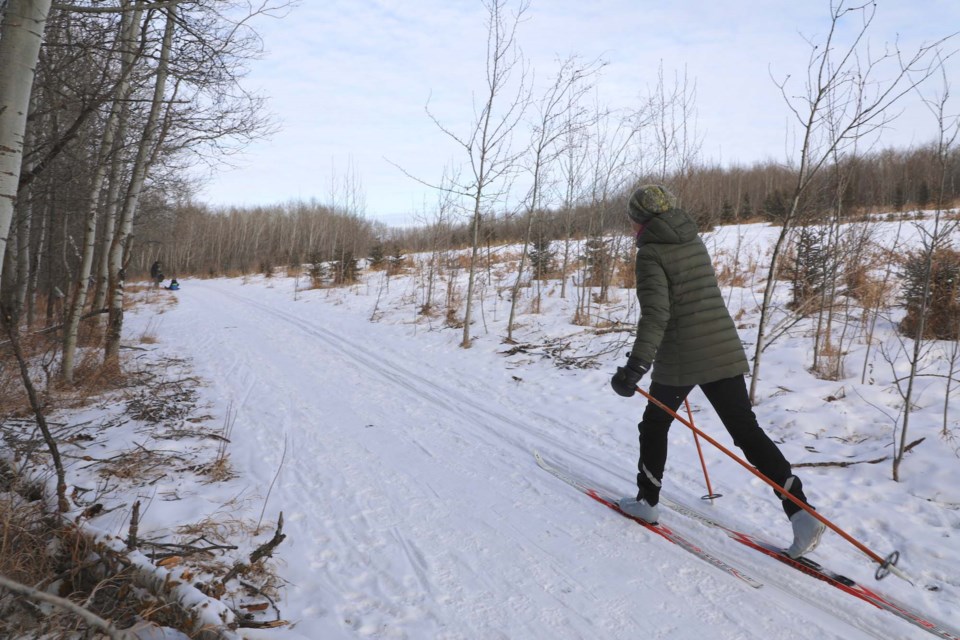 NEW TRAILS — The St. Albert Nordic Ski Club officially opened nine kilometers of new trails in Sturgeon County Jan. 22. The trails take skiers all the way from St. Albert to Bellerose Park in the county. JESSICA NELSON/St. Albert Gazette